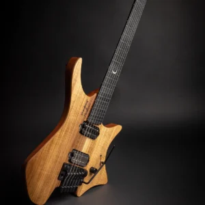 Strandberg BODEN PROG NX 6 PLINI EDITION Ergonomic Electric Guitar