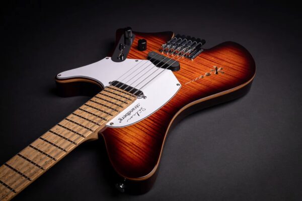 Strandberg SÄLEN Deluxe NX 6 Vintage Burst Ergonomic Electric guitar