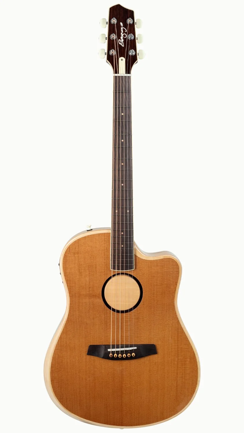 baggs-aeg-1-acoustic-electric-guitar-torrefied-front