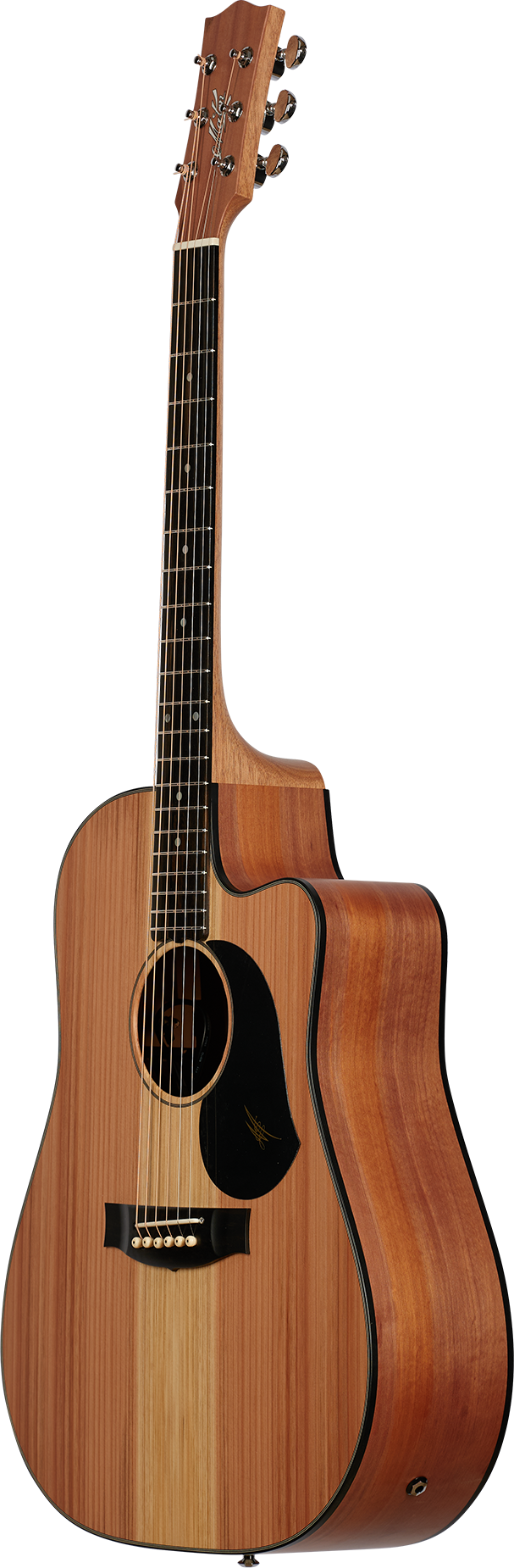 Redwood_0003_PS1B3404