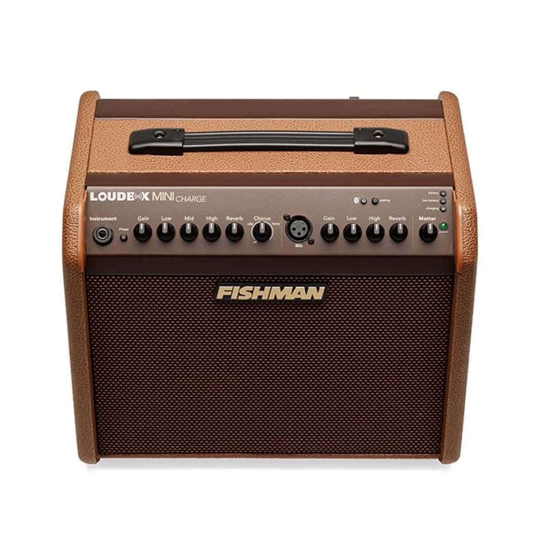 fishman-loudbox-mini-charge-gal-1