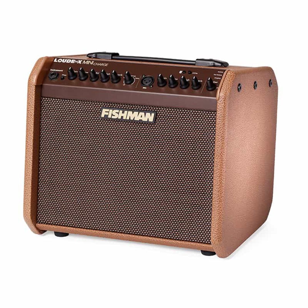 fishman-loudbox-mini-charge-gal-2